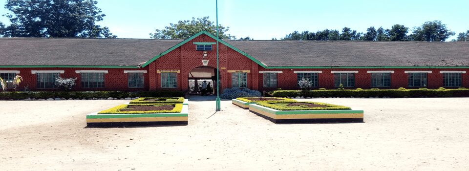 Chewoyet National School; full details, KCSE  Analysis, Contacts, Location, Admissions, History, Fees, Portal Login, Website, KNEC Code