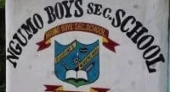 Ngumo  Boys High School ; full details, KCSE  Analysis, Contacts, Location, Admissions, History, Fees, Portal Login, Website, KNEC Code
