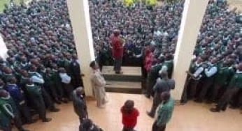 Tambach Boys High School ; full details, KCSE  Analysis, Contacts, Location, Admissions, History, Fees, Portal Login, Website, KNEC Code