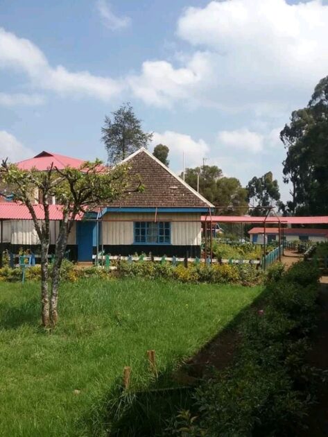 You are currently viewing Njabini Boys  High School ; full details, KCSE  Analysis, Contacts, Location, Admissions, History, Fees, Portal Login, Website, KNEC Code