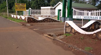 Chebisaas Boys High School ; full details, KCSE  Analysis, Contacts, Location, Admissions, History, Fees, Portal Login, Website, KNEC Code