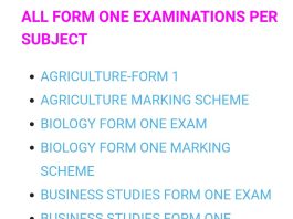 DOWNLOAD FREE FORM ONE EXAMINATIONS AND MARKING SCHEMES- ALL SUBJECTS.