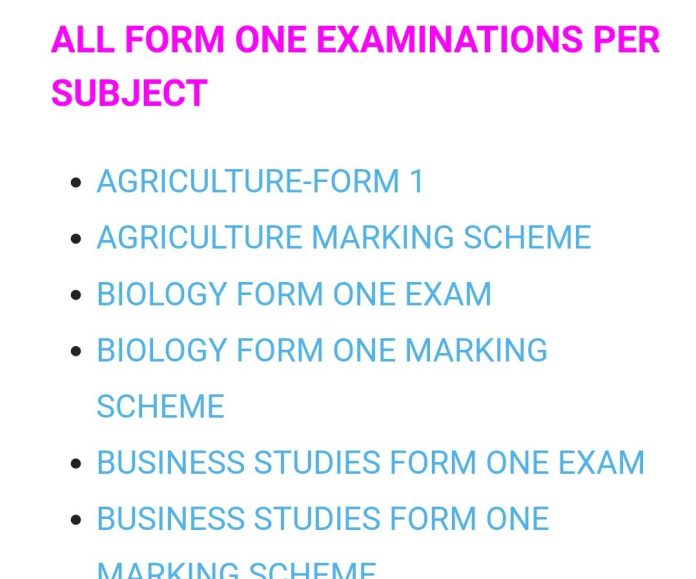 DOWNLOAD FREE FORM ONE EXAMINATIONS AND MARKING SCHEMES- ALL SUBJECTS.