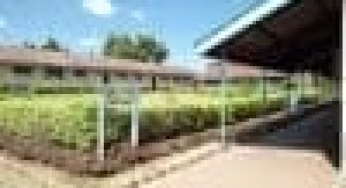 Michinda Secondary School ; full details, KCSE  Analysis, Contacts, Location, Admissions, History, Fees, Portal Login, Website, KNEC Code