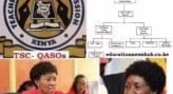 TSC Quality Assurance and Standards Officer, QASO; Contacts and Roles