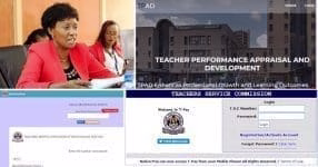 The TSC portal and all online TSC Services.