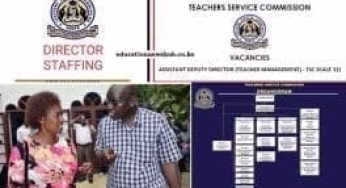 TSC Staffing Officers; Contacts and Roles