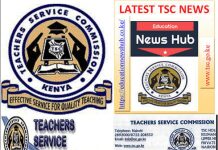 TSC Human Resource Officers; Contacts and roles