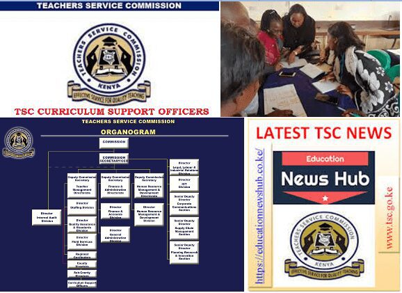 TSC Curriculum Support Officers (CSOs); Contacts and responsibilities