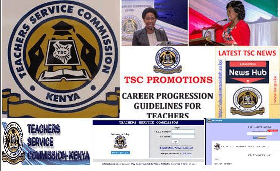 TSC frequently asked questions and answers: TSC News
