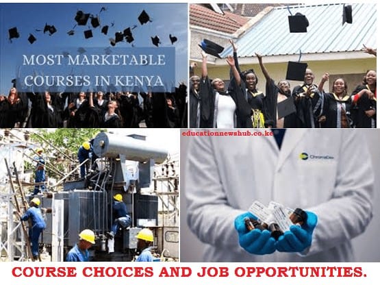 How to select a course and know its career opportunities.