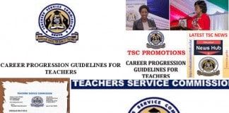 TSC Career Progression Guidelines for teachers; Read on teachers' entry requirements, promotions and salary scales.