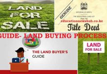 Buying land in Kenya? The dos and don'ts.