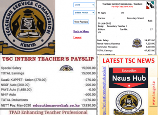 TSC Payslip online. The details on your Payslip.