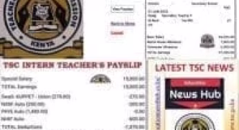 How to know if you are a KUPPET, KNUT member