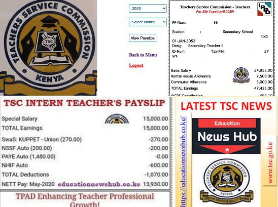 Teachers Service Commission TSC online payslip; What abbreviations on your payslip mean