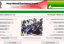 Knec school exams portal for KCSE and KCPE registration and results downloads