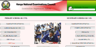 Knec school exams portal for KCSE and KCPE registration and results downloads
