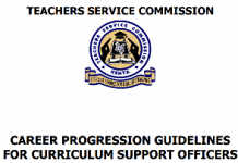 Career Guidelines For Curriculum Support Officers.