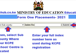 Form one admission letters download portal 2
