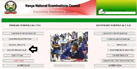 How to download result slips for all candidates