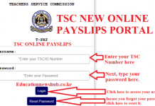 T-pay Payslips online 1