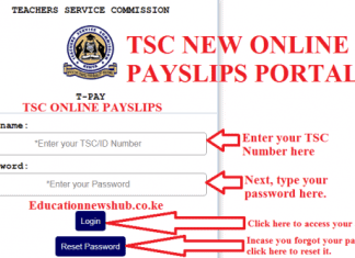 T-pay Payslips online 1