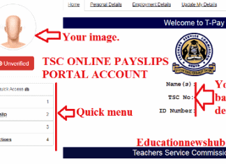 T-pay Payslips online 2