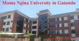 Mama Ngina University.