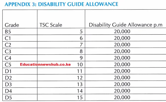 Disability Guide Allowance