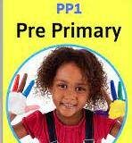 Free PP1 Exams and other materials.