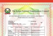 Knec KPSEA Grade 6 CBC Exams Result Slip