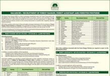 Kenya Forestry Services, KFS
