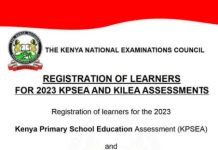 Knec 2023 KPSEA, KILEA Assessments