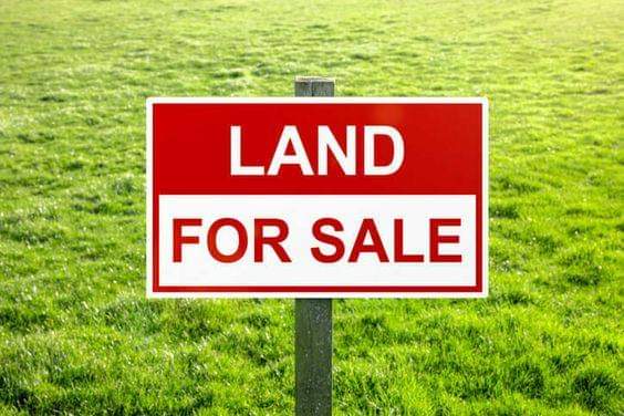 Procedure for buying land in Kenya (Ultimate guide)