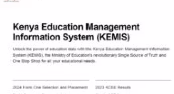 How to download the KCSE 2024-2025 Results online for the whole school: the knec online results portal; http://www.knec-portal.ac.ke