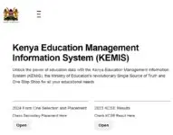 How To Easily Check KCSE 2023 Results Online On Your Phone ...