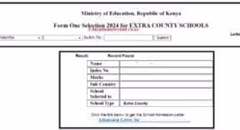 2024 Form One Calling Letters Now Posted; How to download them easily via phone