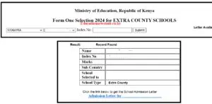 Form one admission letters online download portal