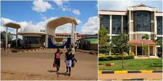 List of all Courses offered at Kibabii University