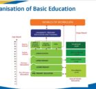 Pathways in the new Basic Education reorganization.