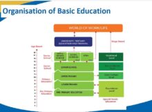Pathways in the new Basic Education reorganization.