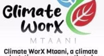 Climate Works Mtaani Application Portal Link- https://crsp.go.ke/