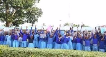 Shock as Candidates sit for fake KPSEA Exams