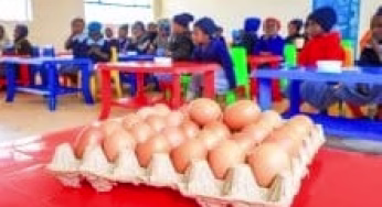County rolls out ECDE comprehensive feeding program