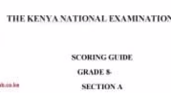 CBC Grade 8 Free Exam Papers & Answers