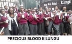 Precious Blood Kilungu School's KCSE 2024/2025 Results Analysis, Grades Count & Knec Code 1 Precious Blood Kilungu High School's Students