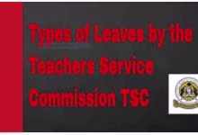 You can now apply for TSC leave online- Here is the procedure 3 TSC leaves best guide