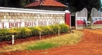 Paul Boit Boys’ High school 2023 KCSE Results Analysis, Grade Count