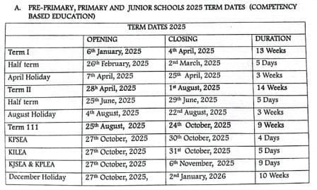 KPSEA 2024 Results out {Official}- How to check 3 2025 School Calendar, Term Dates & Public Holidays for Kenya
